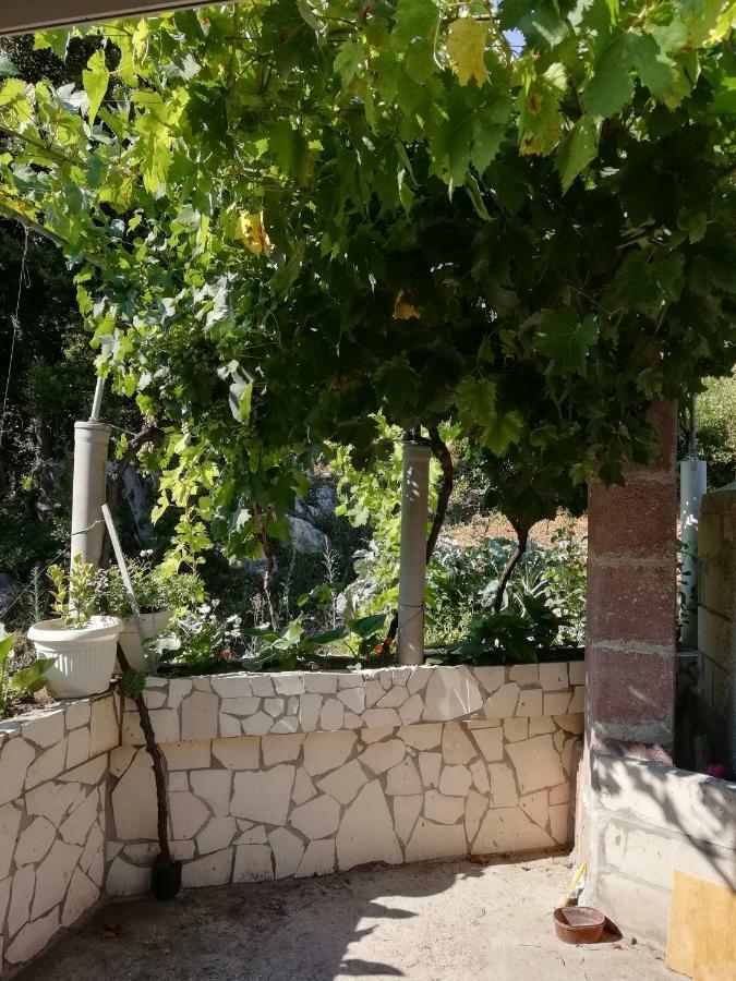 Apartman Radic ستون المظهر الخارجي الصورة